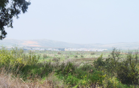 View from Dan into Lebanon