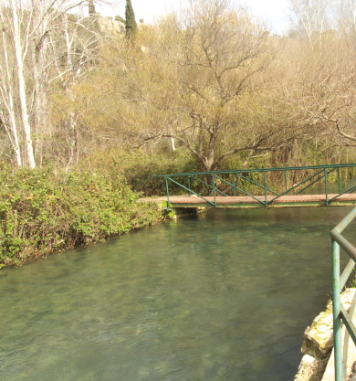 Hermon River at resturant