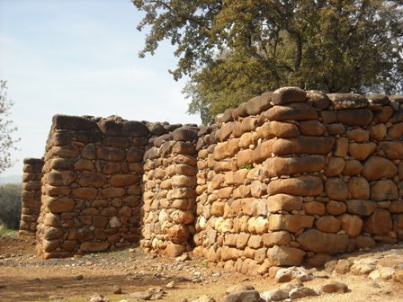 Village wall in Dan
