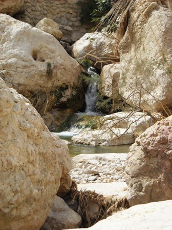 Water falls in En Gedi