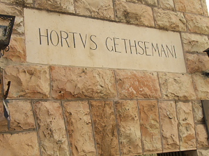 Jerusalem: Sign for the Garden of Gethsemane