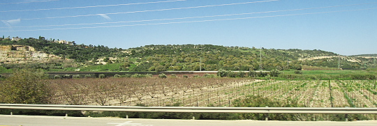 Israel: A farm