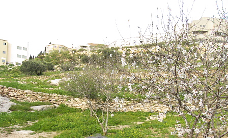 Terraces in Nazareth Village